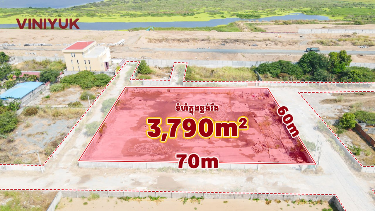 photo_1_2026-03-04_13-31-53