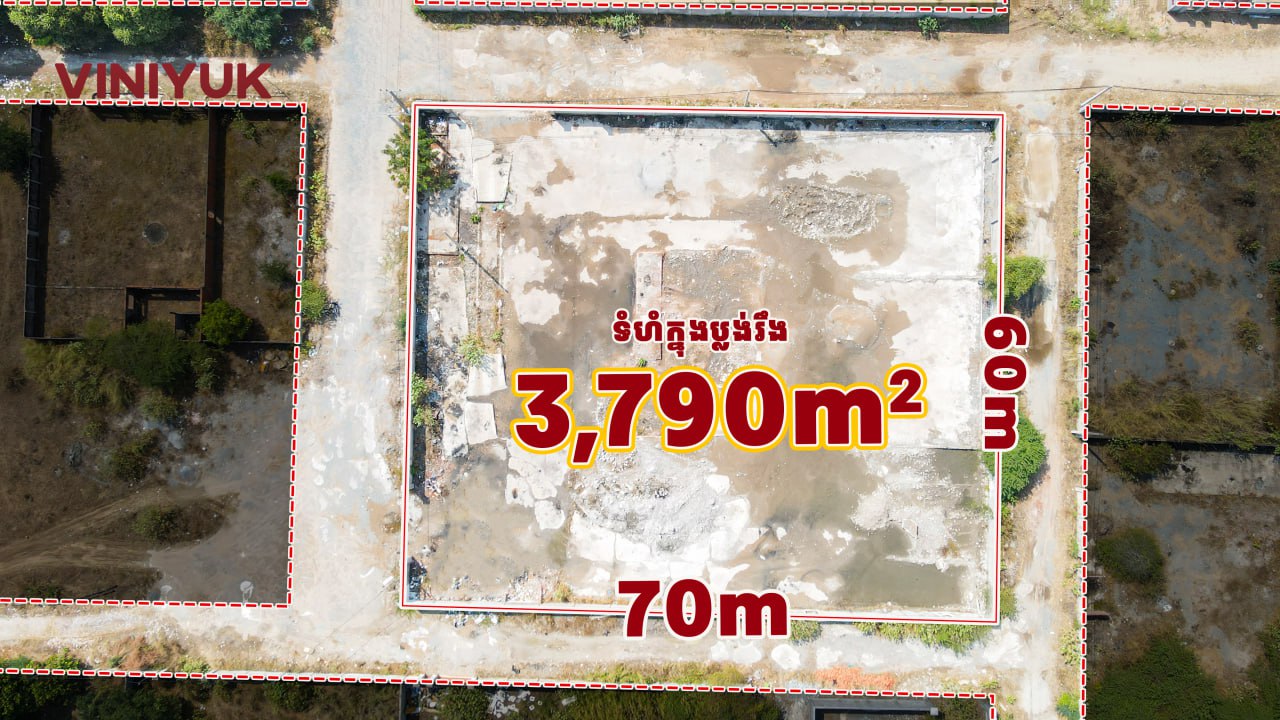 photo_2_2026-03-04_13-31-53